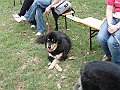 img 009